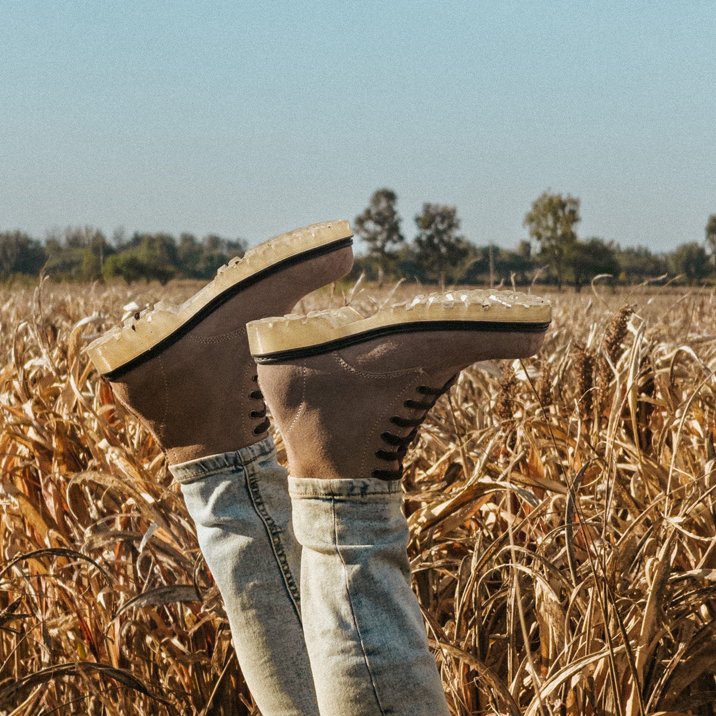 Altamira - Beige